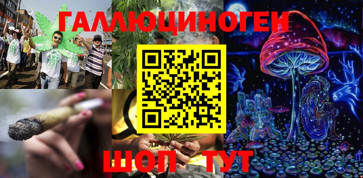 Псилоцибиновые грибы Psilocybe Пыть-Ях